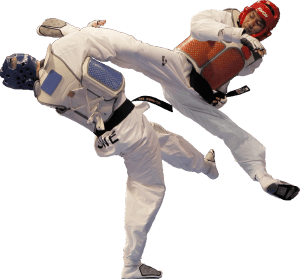 taekwondo_fighters